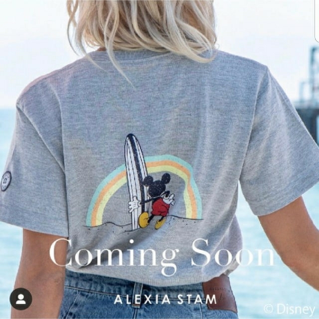 ALEXIA STAM(アリシアスタン)のM様専用ALEXA STAM アリシアスタンサーフミッキーTシャツ グレー 新品 レディースのトップス(Tシャツ(半袖/袖なし))の商品写真