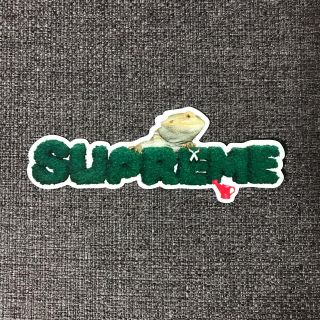 シュプリーム(Supreme)のSupreme ステッカー(その他)