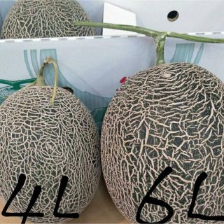 おおきかメロンば食べてみらんね数量限定！熊本県産肥後グリーン6Lサイズ2玉セット(フルーツ)