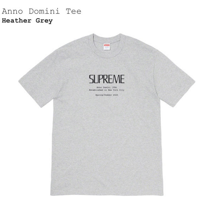 Supreme(シュプリーム)のSupreme シュプリーム Anno Domini Tee グレー　M新品 メンズのトップス(Tシャツ/カットソー(半袖/袖なし))の商品写真