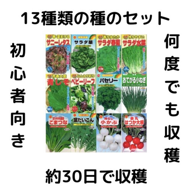 【簡単に収穫できる野菜の種13セット！】ベランダ、プランター 食品/飲料/酒の食品(野菜)の商品写真