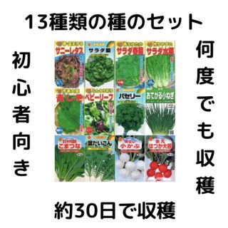 【簡単に収穫できる野菜の種13セット！】ベランダ、プランター(野菜)