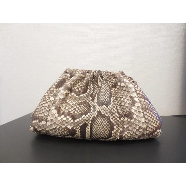 Bottega Veneta(ボッテガヴェネタ)の激レア 50万 Bottega Veneta ザ・ポーチ パイソン クラッチバッ レディースのバッグ(クラッチバッグ)の商品写真