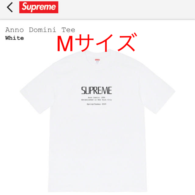 Supreme Anno Domini Tee tシャツ M