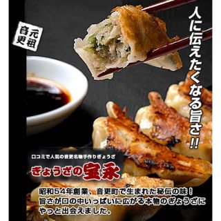 冷凍餃子2㎏　餃子の宝永　北海道　人気有名お取り寄せ餃子　クール便発送(インスタント食品)