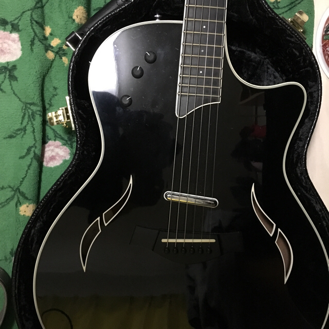 Gibson(ギブソン)のテイラー T5 楽器のギター(アコースティックギター)の商品写真