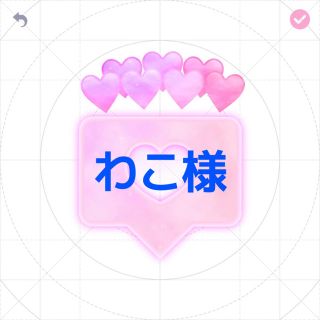 わこ様専用(その他)