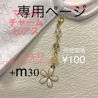 +m30と同梱　天然石×メタルパーツm19-17(1個売り)同梱価格¥100(チャーム)