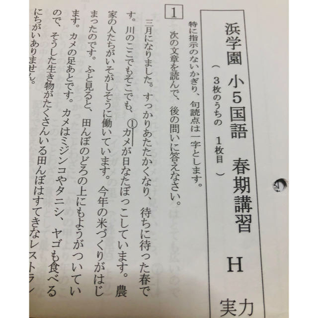 浜学園　小5年国語　マスターコース1年分復習テスト&春期講習&夏期講習　中学受験