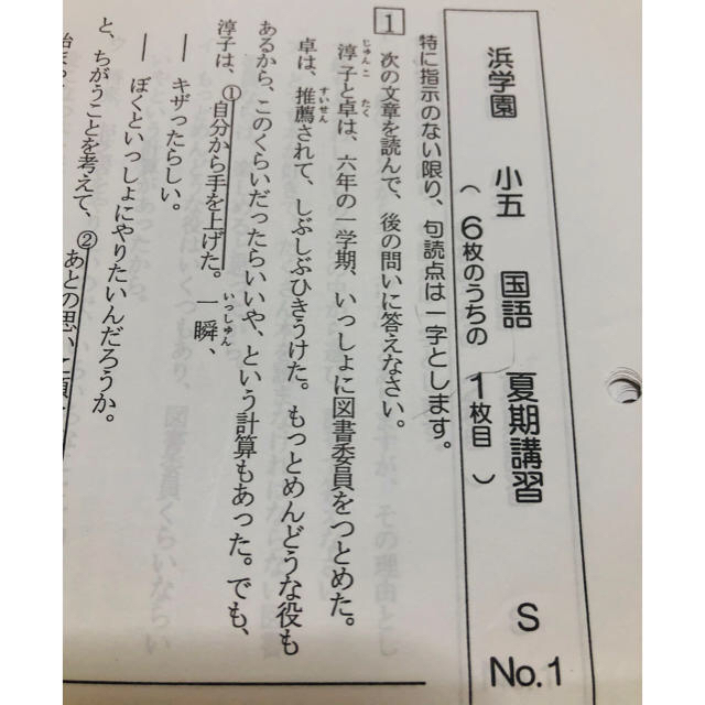 浜学園　小5年国語　マスターコース1年分復習テスト&春期講習&夏期講習　中学受験