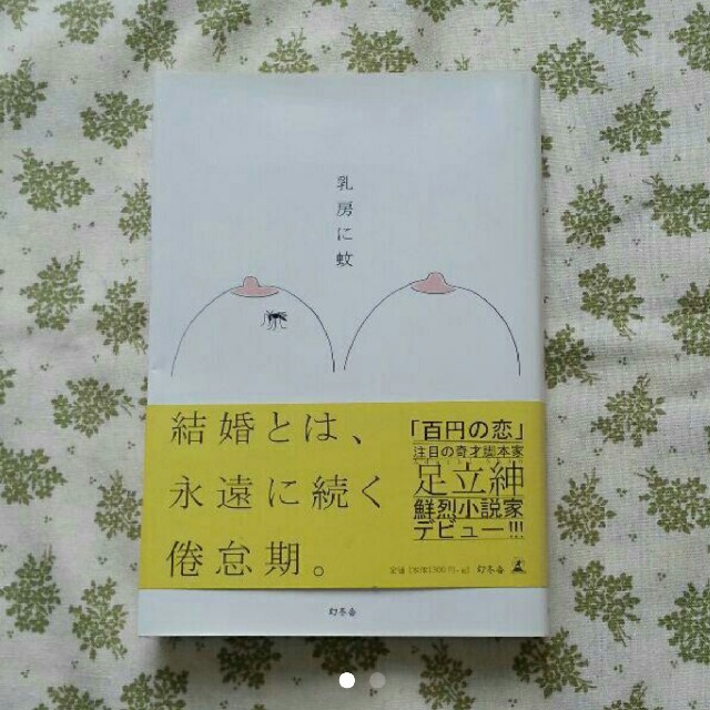 乳房に蚊 エンタメ/ホビーの本(文学/小説)の商品写真