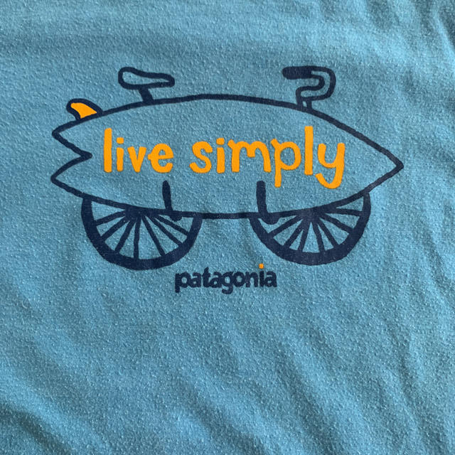 patagonia(パタゴニア)のパタゴニア　キッズ　Tシャツ　5T キッズ/ベビー/マタニティのキッズ服男の子用(90cm~)(Tシャツ/カットソー)の商品写真