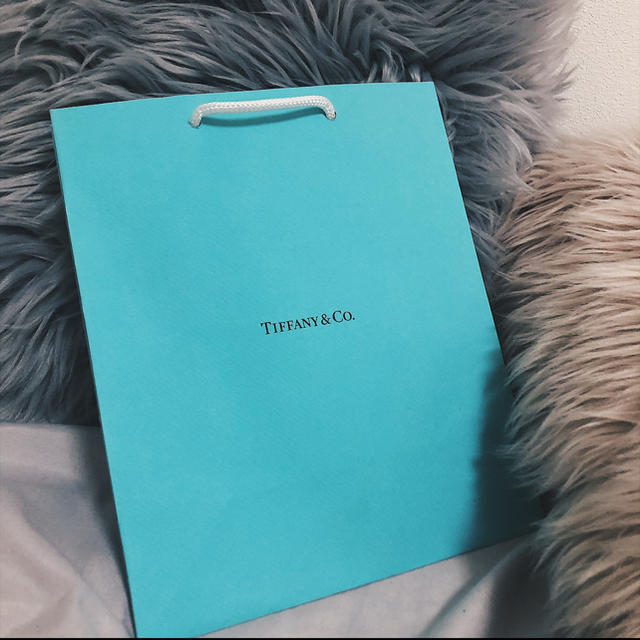Tiffany & Co.(ティファニー)のキティちゃん様 レディースのバッグ(ショップ袋)の商品写真
