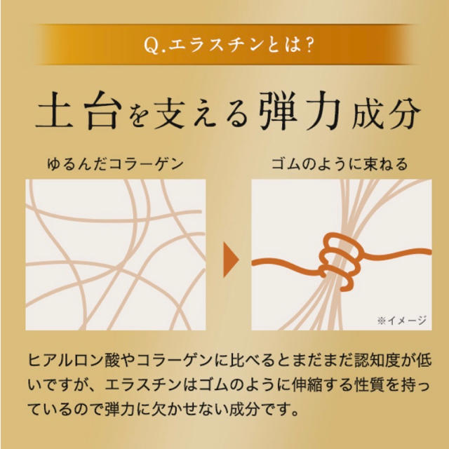 エラスチン　6か月分 コスメ/美容のコスメ/美容 その他(その他)の商品写真