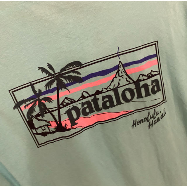 patagonia(パタゴニア)のPatagonia パタゴニア　パタロハ レディースのトップス(Tシャツ(半袖/袖なし))の商品写真