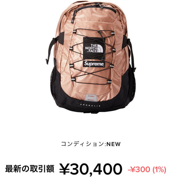 Supreme The North Face  Backpack 未使用バッグパック/リュック