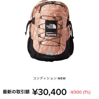 シュプリーム(Supreme)のSupreme The North Face  Backpack 未使用(バッグパック/リュック)