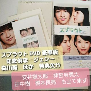 ！値下げ！スプラウト　DVD-BOX　豪華版 DVD