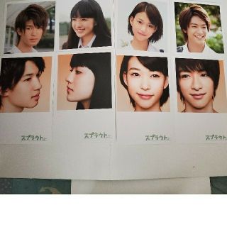 スプラウト DVD-BOX 豪華版 知念侑李 ジェシー 森川葵 神宮寺 田中樹