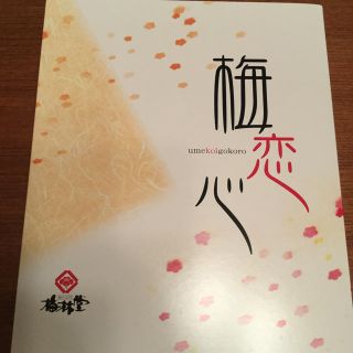 梅林堂 梅恋心20粒 賞味期限2020.11.30(その他)