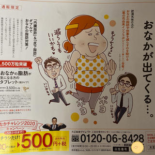 大正製薬 - おなかの脂肪が気になる方のタブレット 定価３５００円