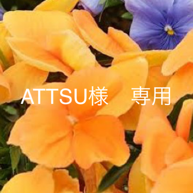 ATTSU様専用 レディースのレッグウェア(ソックス)の商品写真