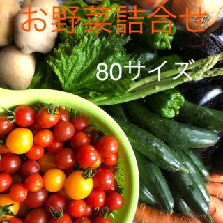 ☆お野菜詰合せ☆80サイズ(野菜)