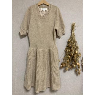 ジルスチュアート(JILLSTUART)のJILL STUART 半袖ニットワンピース(ひざ丈ワンピース)