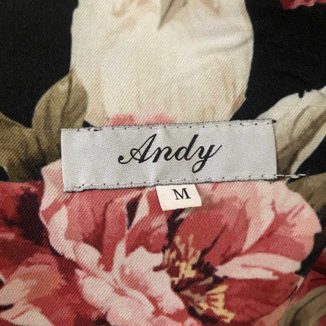 Andy(アンディ)のりりり様、専用 レディースのフォーマル/ドレス(ミニドレス)の商品写真