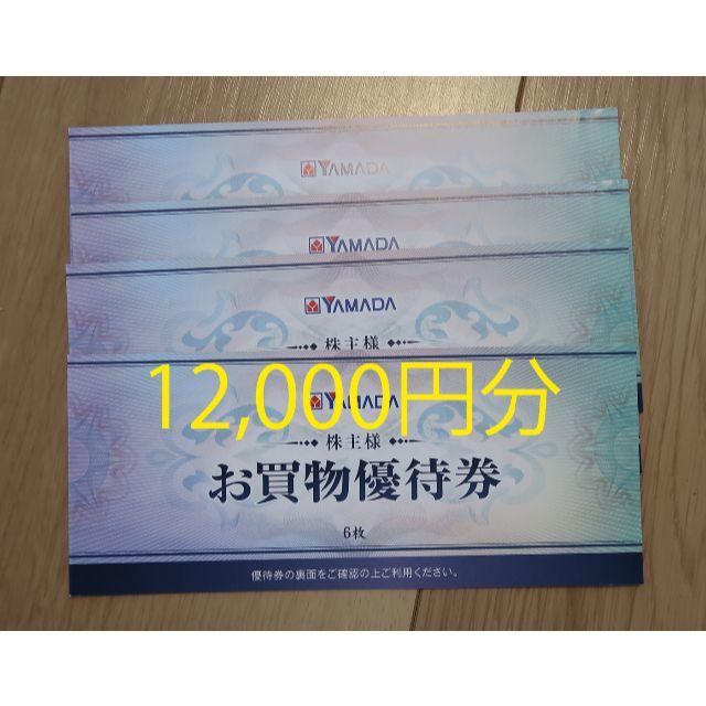 ヤマダ電機　株主優待　12000円分