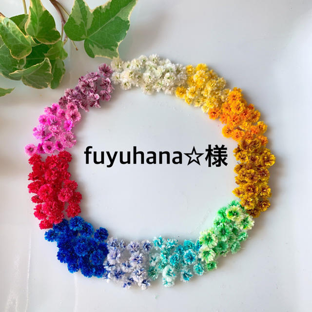 fuyuhana☆様専用ページ  ハンドメイドのフラワー/ガーデン(ドライフラワー)の商品写真