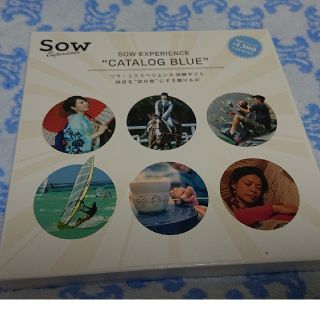 SOW EXPERIENCE  CATALOG BLUE(その他)