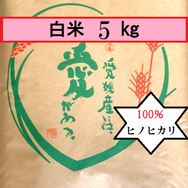 お米　令和元年　愛媛県産ヒノヒカリ　白米　5㎏ 食品/飲料/酒の食品(米/穀物)の商品写真