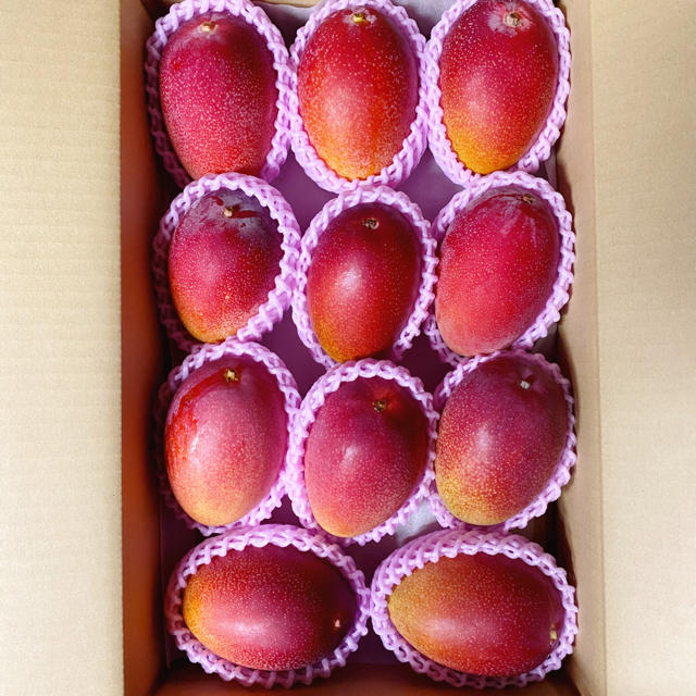 宮崎県産 完熟マンゴー 自家用 約3.5kg バラ詰め 食品/飲料/酒の食品(フルーツ)の商品写真