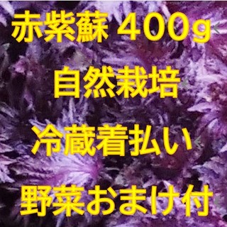 赤紫蘇400g 野菜のオマケ付き 自然栽培(野菜)