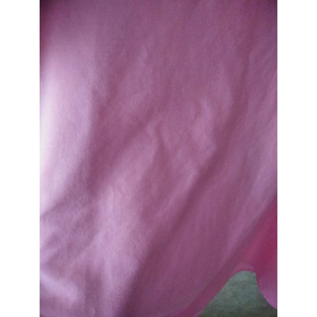 ZARA(ザラ)のZARA  フリル　ピンク　ワンピース レディースのワンピース(ひざ丈ワンピース)の商品写真