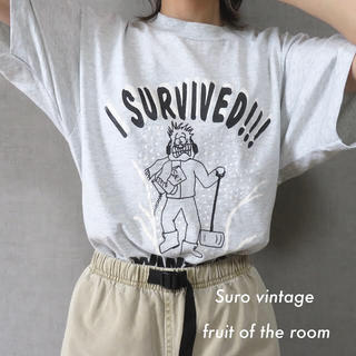サンタモニカ(Santa Monica)の90s フルーツオブザルーム アートTシャツ USA製 古着女子 vintage(Tシャツ(半袖/袖なし))