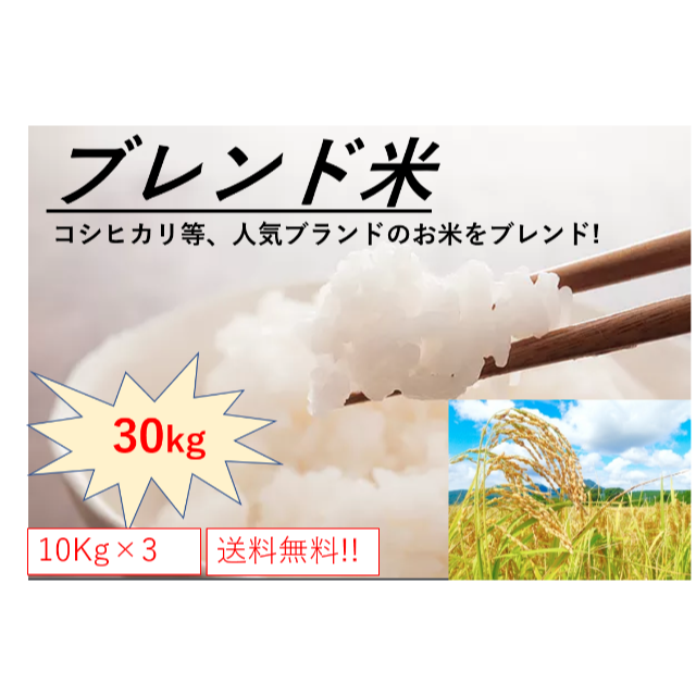 お米】ブレンド米　お得☆　令和元年産含む　30kg(10kg×3袋)　米/穀物