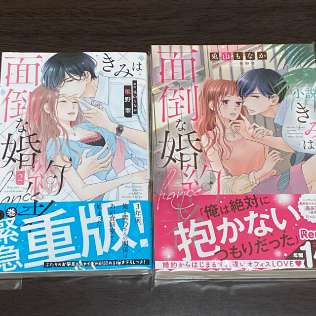 者 な は 婚約 小説 面倒 君 小説 きみは面倒な婚約者｜白泉社