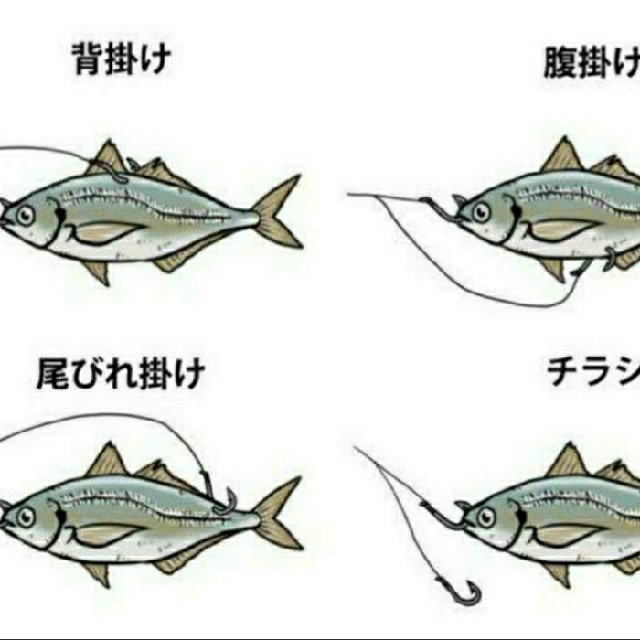 がまかつ(ガマカツ)の泳がせ専用仕掛け18号2本針×10本セット スポーツ/アウトドアのフィッシング(釣り糸/ライン)の商品写真