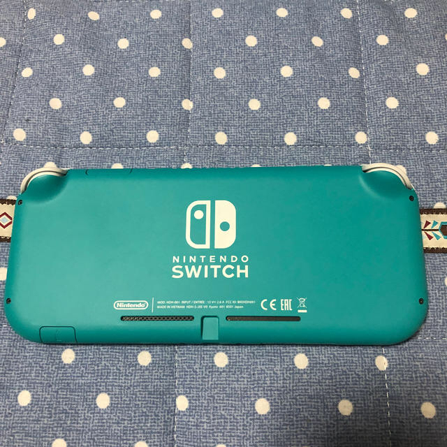 Nintendo Switch Lite ターコイズ recamin.cl