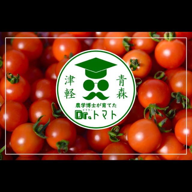 ☘️農学博士のミニトマト【Dr.トマト 1Kg】☘️〜青森津軽産〜 食品/飲料/酒の食品(野菜)の商品写真