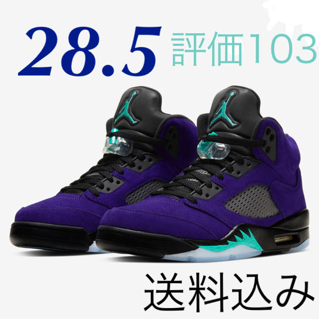 NIKE AIR JORDAN 5 "PURPLE GRAPE" 28.5靴/シューズ