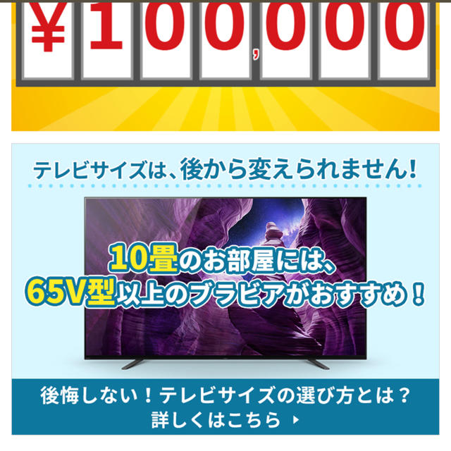 ブラビアロト　10万円