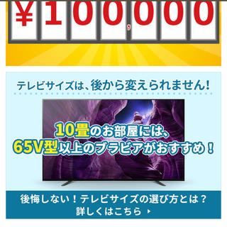 ソニー(SONY)のブラビアロト　10万円(ショッピング)
