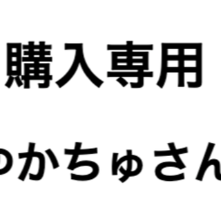 ゆかちゅさん購入専用(その他)