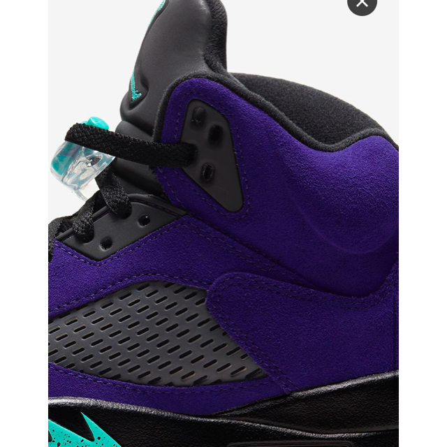 NIKE AIR JORDAN 5 PERPLE GRAPE 26.5