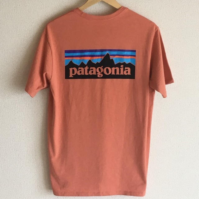 patagonia(パタゴニア)のパタゴニア  p-6ロゴ ポケット レスポンシビリティ memn S メンズのトップス(Tシャツ/カットソー(半袖/袖なし))の商品写真