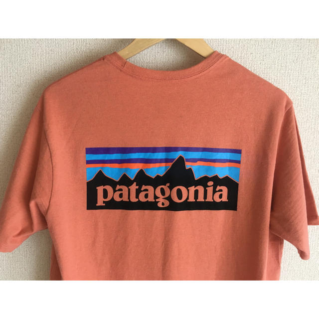 patagonia(パタゴニア)のパタゴニア  p-6ロゴ ポケット レスポンシビリティ memn S メンズのトップス(Tシャツ/カットソー(半袖/袖なし))の商品写真