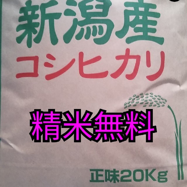 20kg産地【即購入OK】新潟県長岡産令和元年度コシヒカリ整粒米20キロ玄米【精米無料】